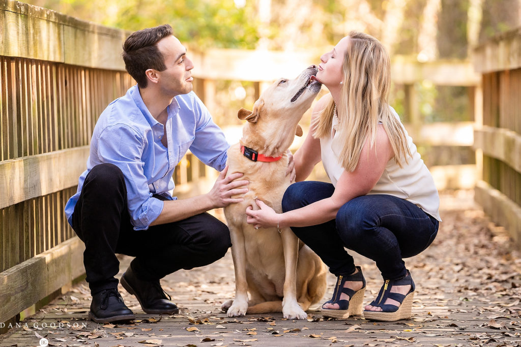 cute dog at jacksonville engagement session